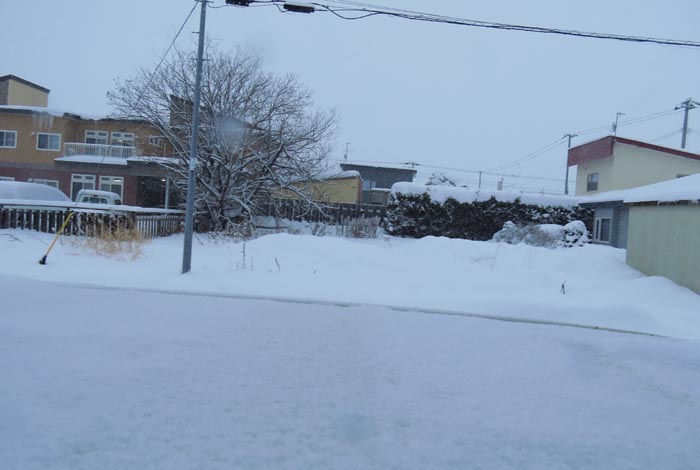 webnews今朝の北海道北見
