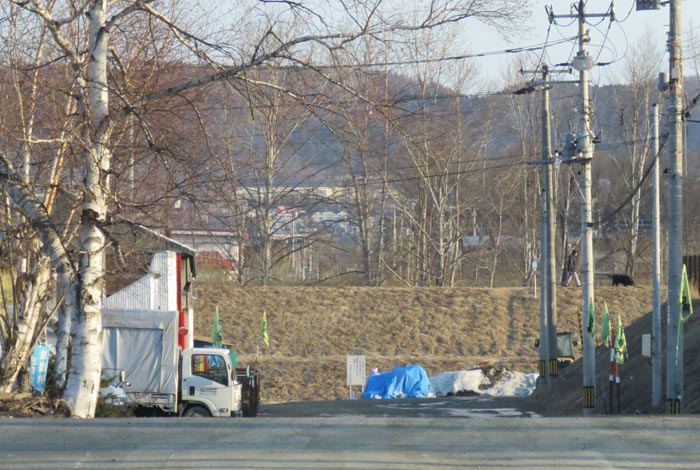 webnews今朝の北見／交差点から奥が無加川の右岸堤防