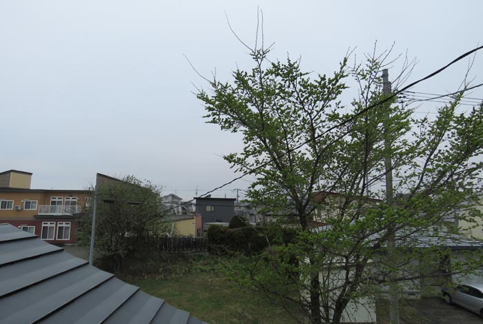 webnews今朝の北見／西の空