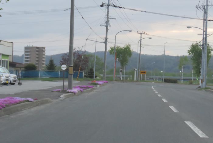 webnews今朝の北見/末広町の南岸通り