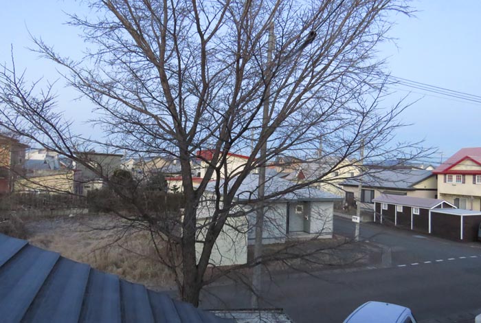 webnews�����̖k���^���̋�