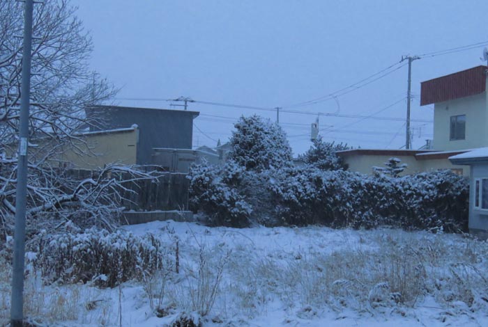 webnews�����̖k��