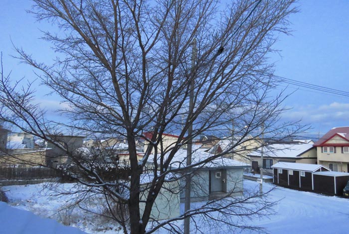 webnews�����̖k���^���̋�