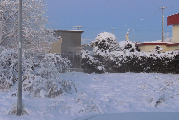 webnews�����̖k��