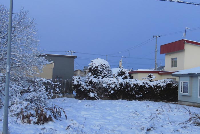 webnews�����̖k��