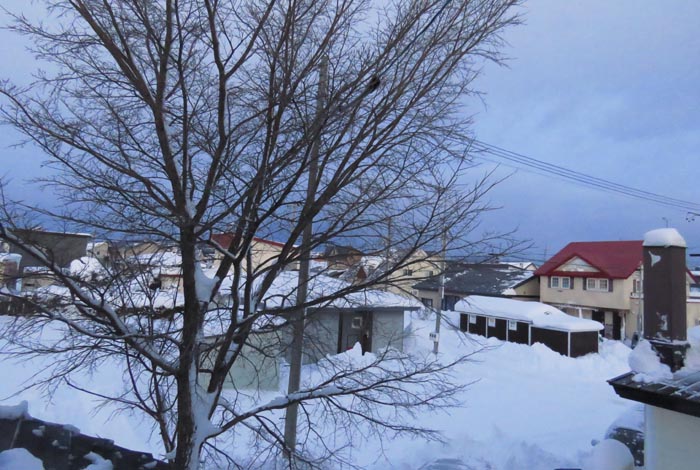 webnews�����̖k���^���̋�