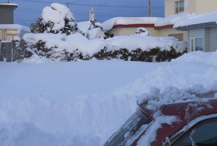 webnews�����̖k��