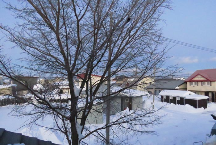 webnews�����̖k���^���̋�