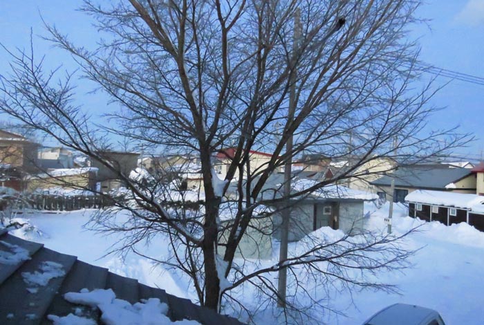 webnews�����̖k���^���̋�