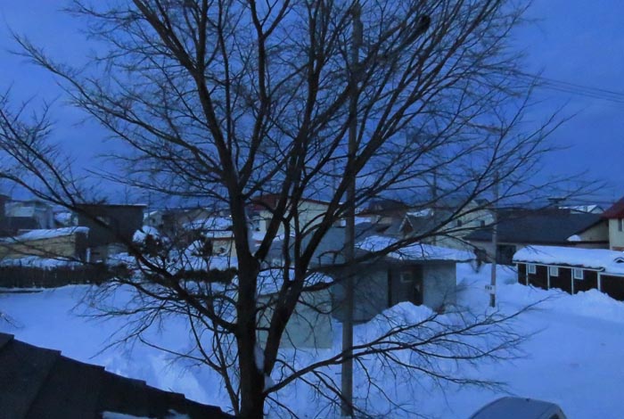 webnews�����̖k���^���̋�