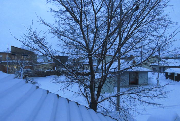 webnews�����̖k���^���̋�