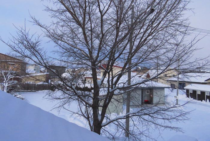 webnews�����̖k���^���̋�