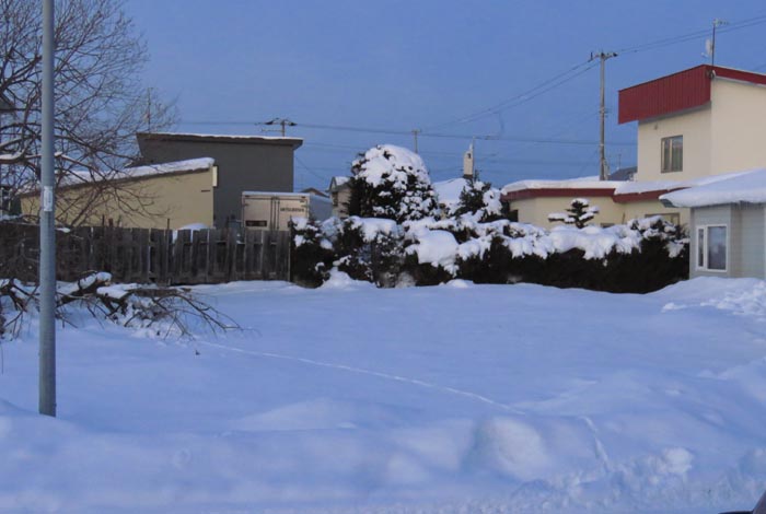 webnews�����̖k��