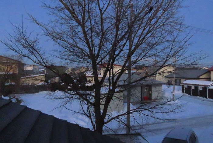 webnews�����̖k���^���̋�