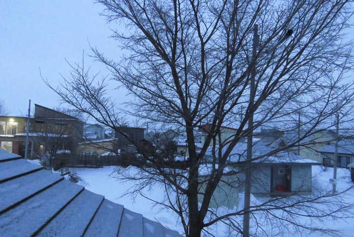 webnews�����̖k���^���̋�