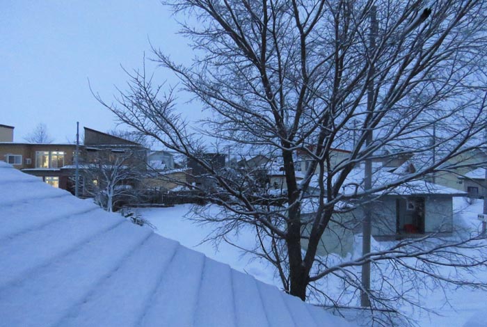 webnews�����̖k���^���̋�