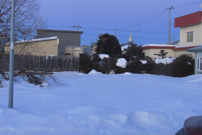 webnews�����̖k��