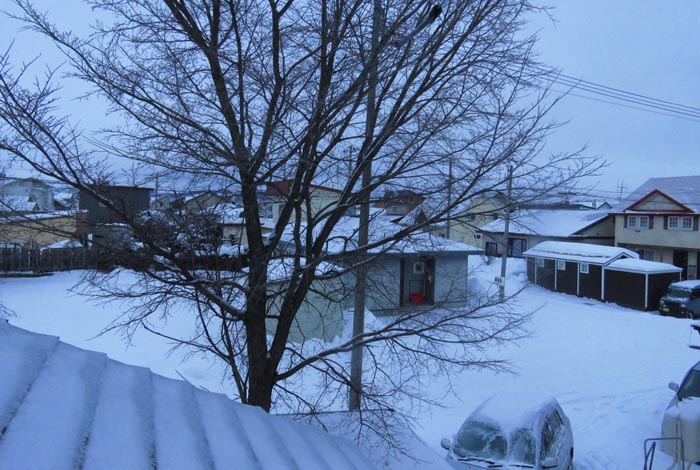 webnews�����̖k���^���̋�