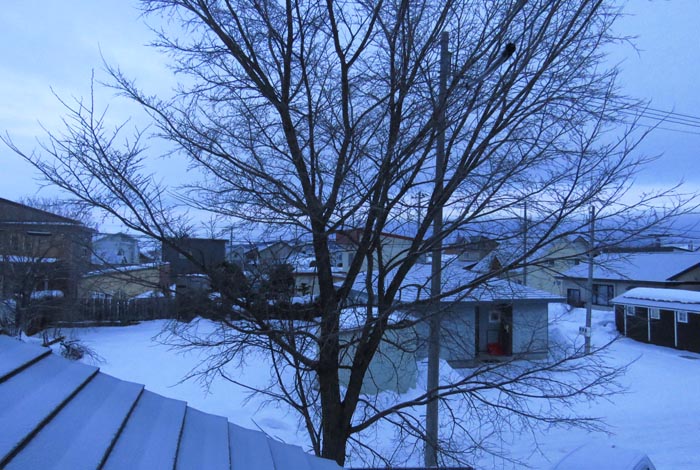 webnews�����̖k���^���̋�