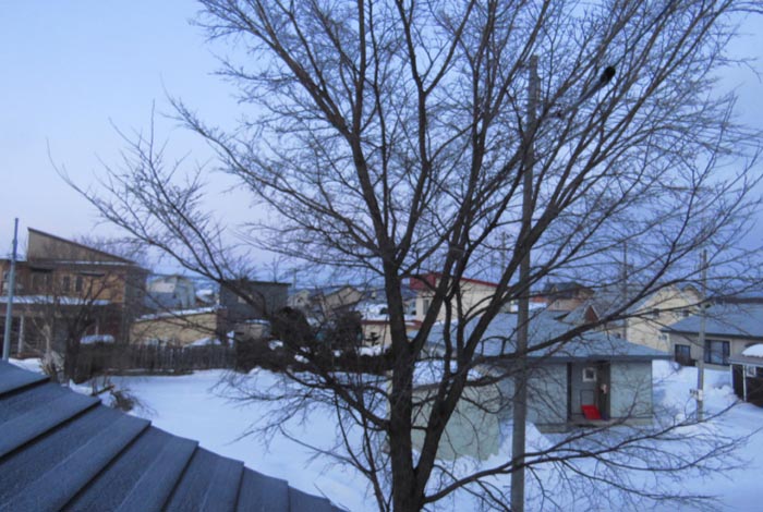 webnews�����̖k���^���̋�