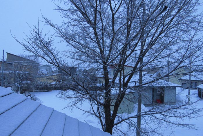 webnews�����̖k���^���̋�