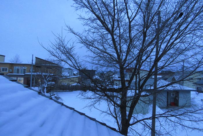 webnews�����̖k���^���̋�