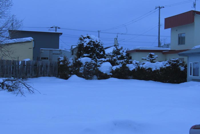 webnews�����̖k��