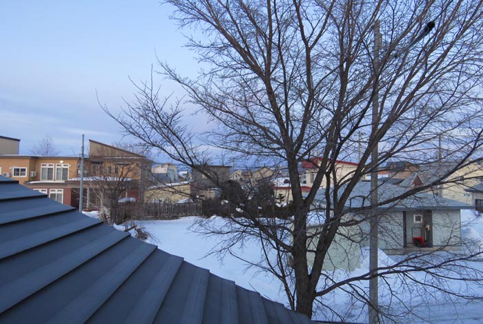 webnews�����̖k���^���̋�