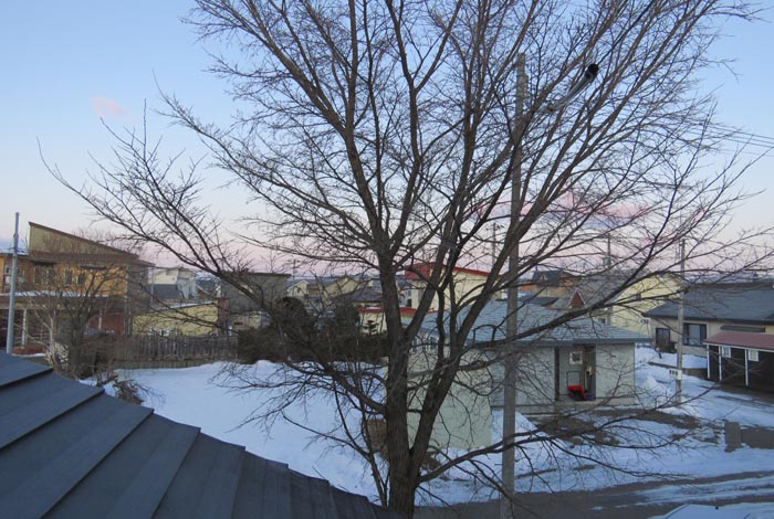 webnews�����̖k���^���̋�