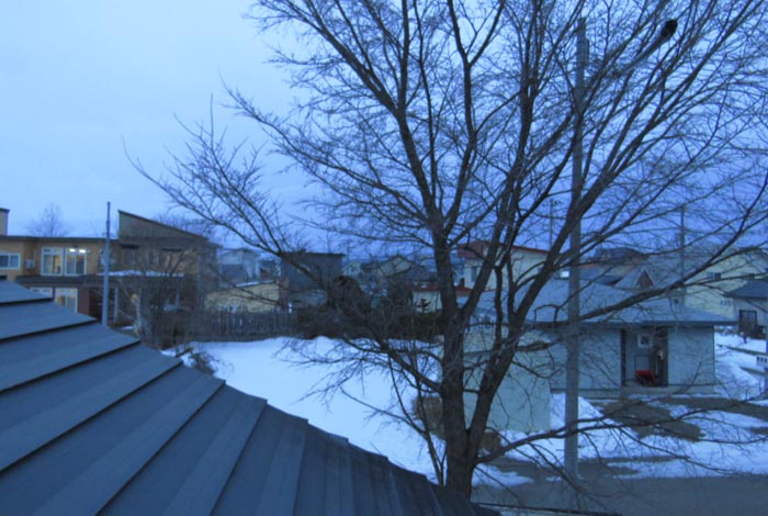 webnews�����̖k���^���̋�