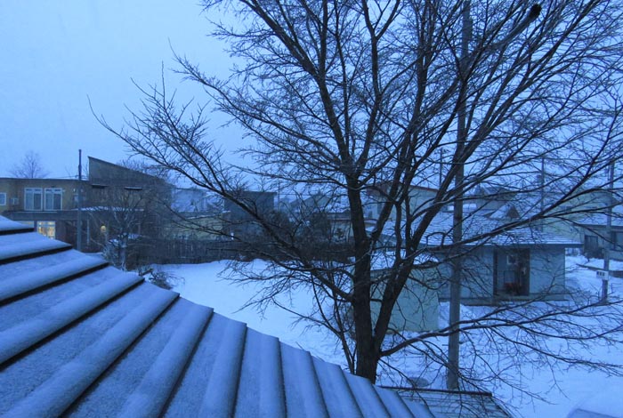 webnews�����̖k���^���̋�