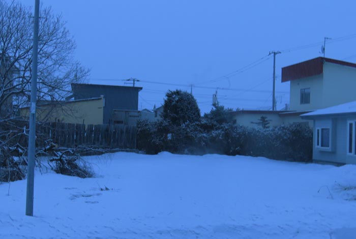 webnews�����̖k��