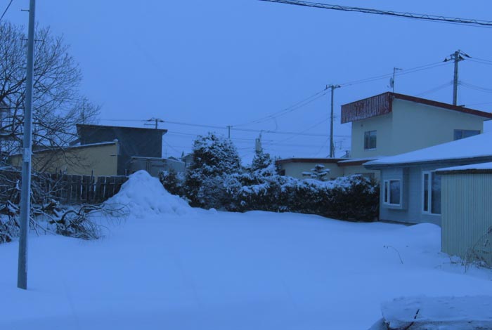 webnews�����̖k��