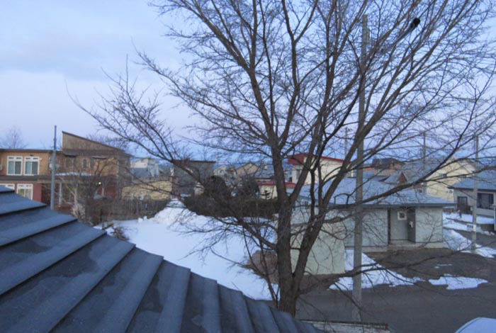 webnews�����̖k���^���̋�