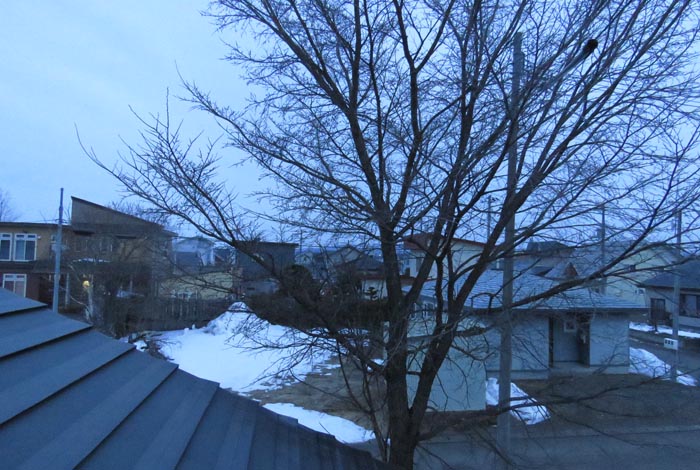 webnews�����̖k���^���̋�