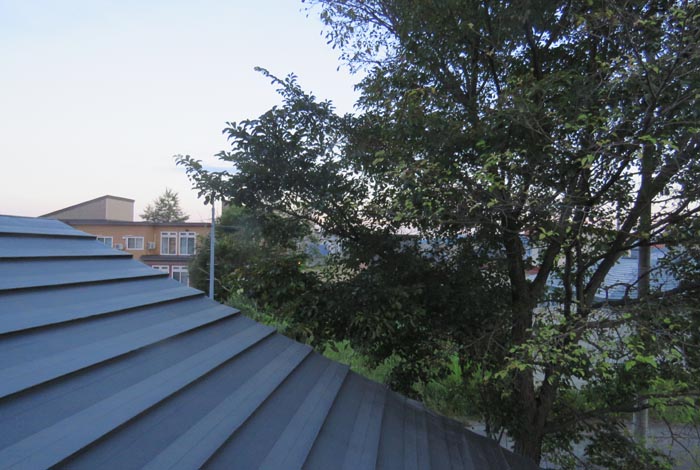 webnews�����̖k���^���̋�