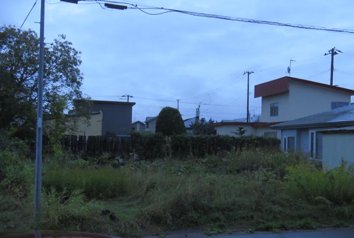 webnews�����̖k��