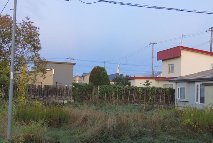 webnews�����̖k��
